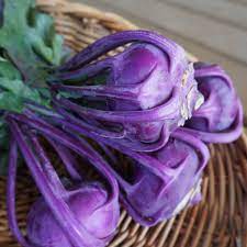 Azur Star Kohlrabi Brassica oleracea for planting in home garden